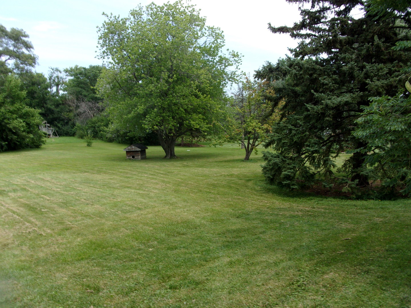 1709 S Highland Avenue, Lombard, IL 60148