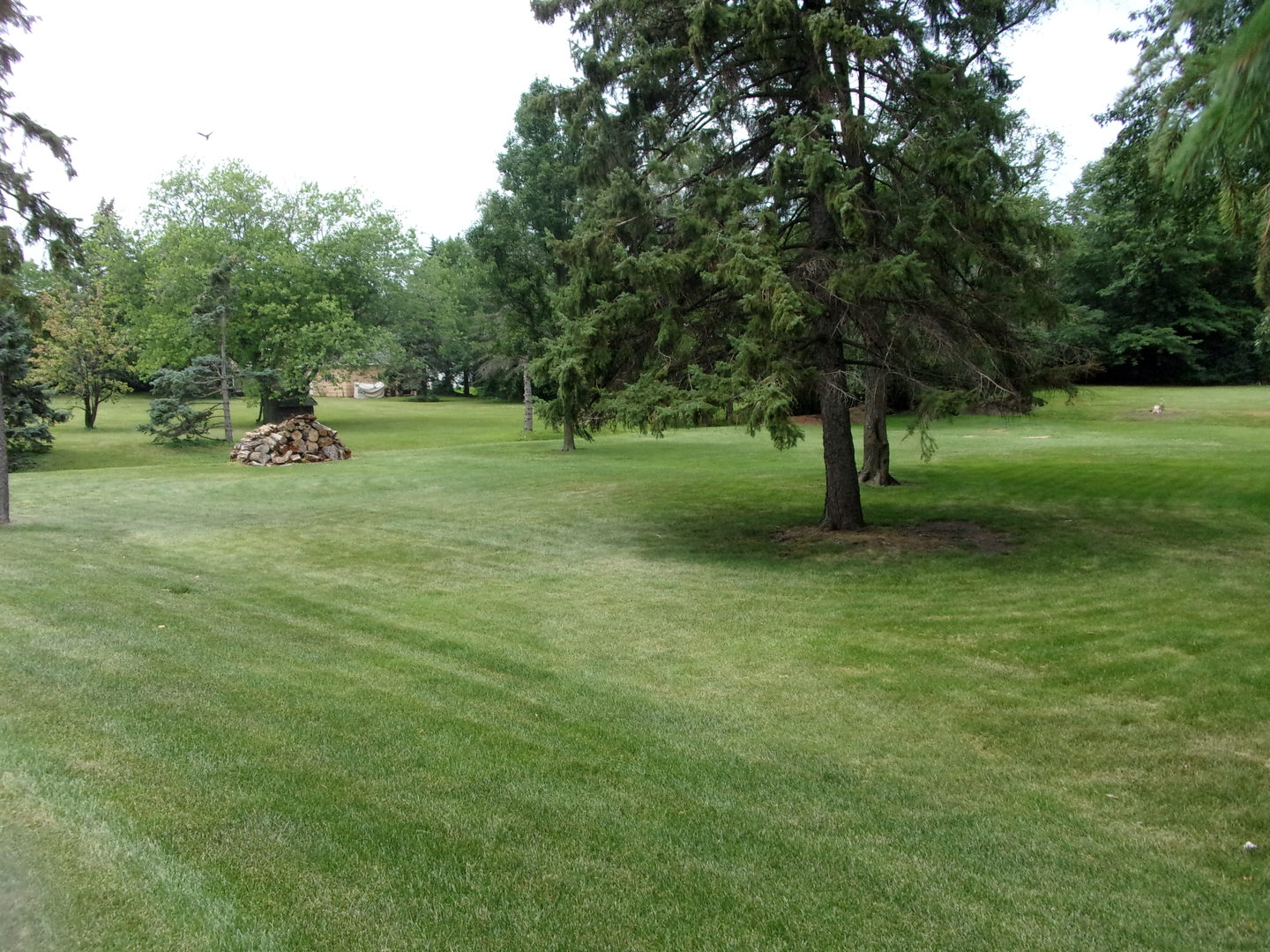 232 Eastgate Road, Lombard, IL 60148