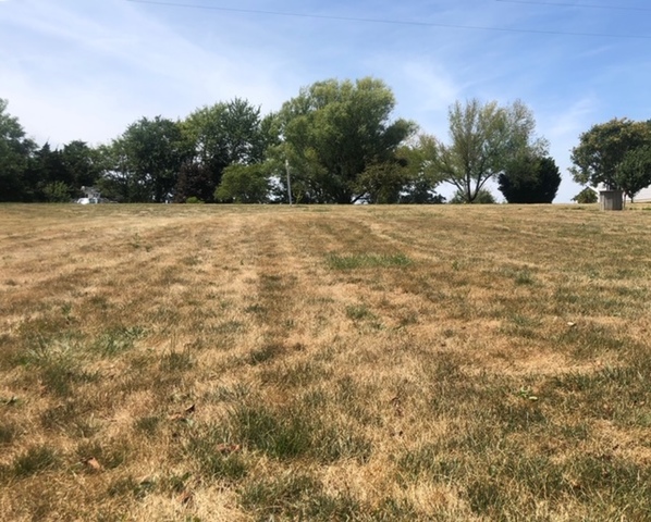 25175 N 2175 East Road, Lexington, IL 61753