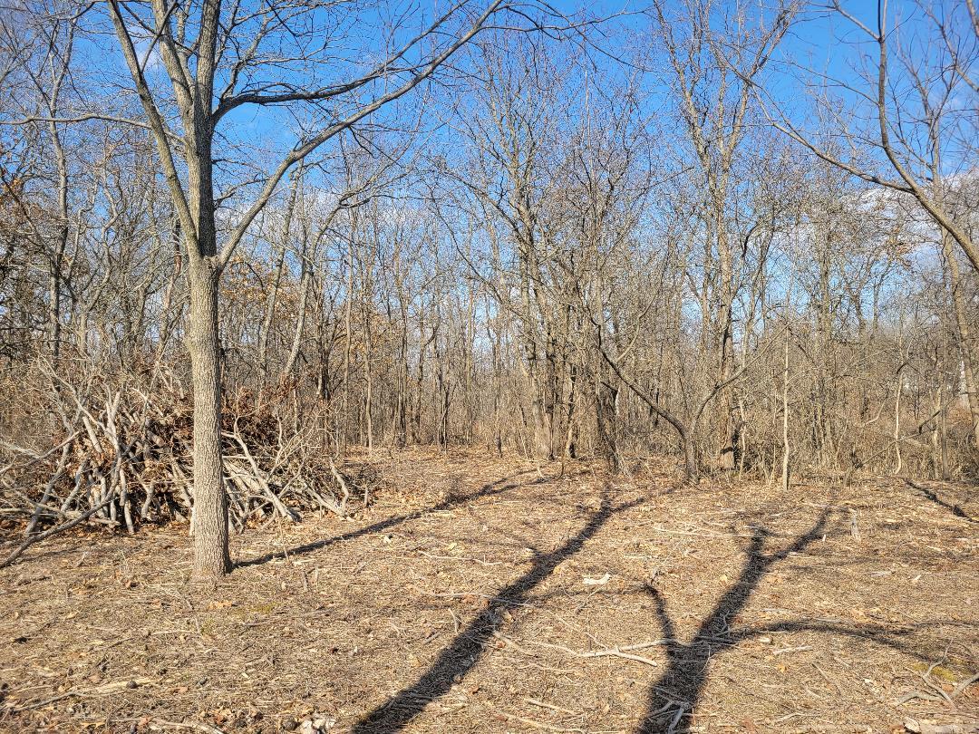 31504 Fast Avenue, Mackinaw, IL 61755