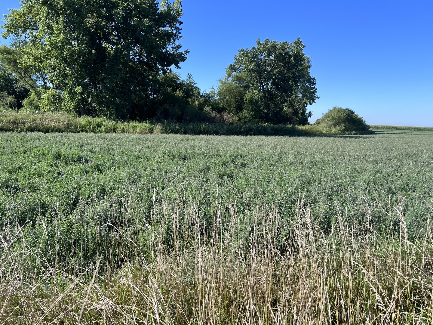 E 2425 N. Road, Mansfield, IL 61842