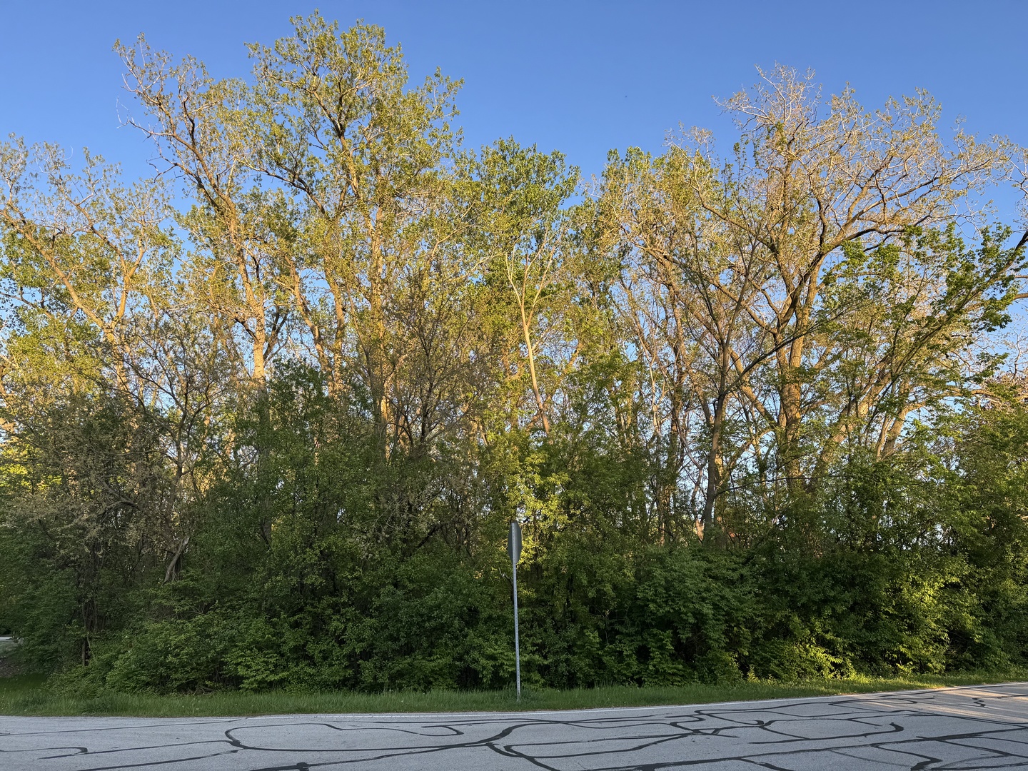 Lot 17 Lacey Ave & Old Naperville Road, Naperville, IL 60563