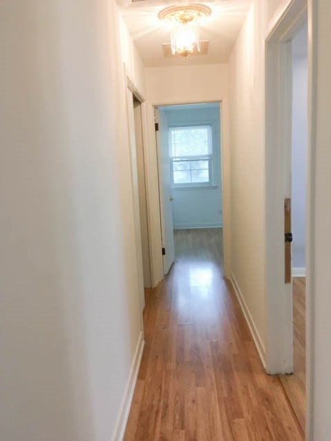 817 Goodwin Drive, Park Ridge, IL 60068