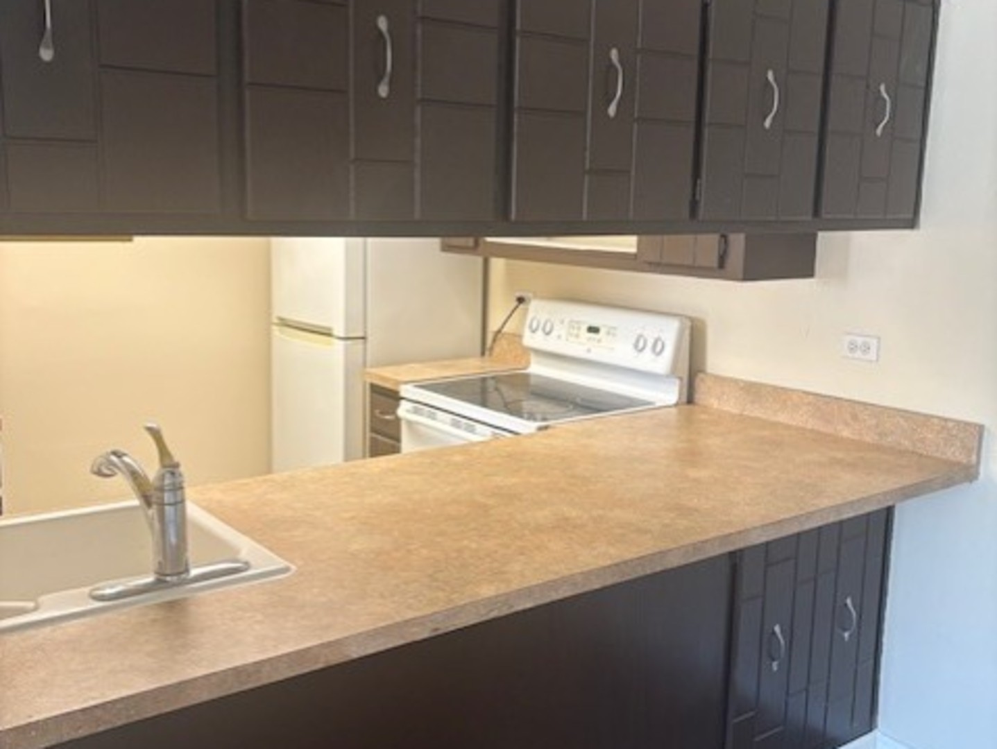 820 Elder Road #C115, Homewood, IL 60430