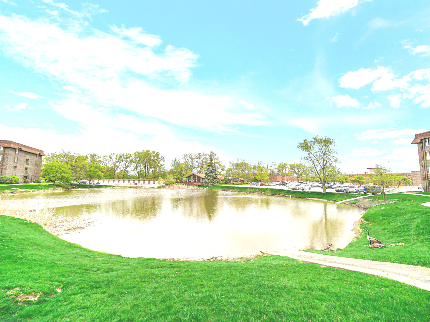 820 Elder Road #C115, Homewood, IL 60430