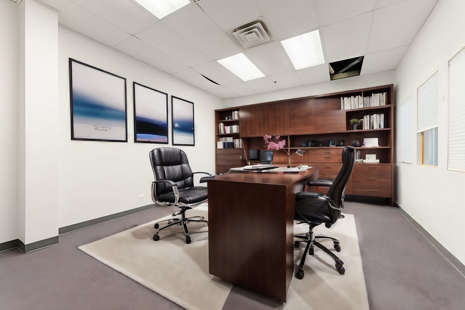 702 W Maple Street, New Lenox, IL 60451