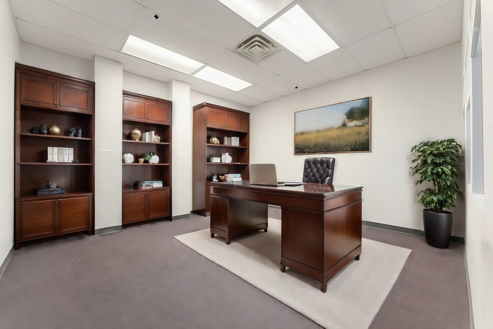 702 W Maple Street, New Lenox, IL 60451