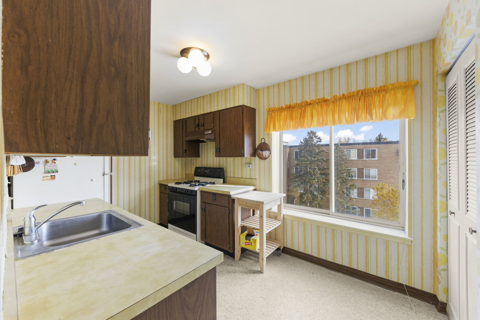 245 S Park Lane #321, Palatine, IL 60074