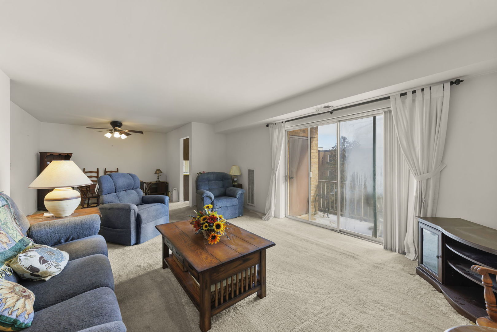 245 S Park Lane #321, Palatine, IL 60074