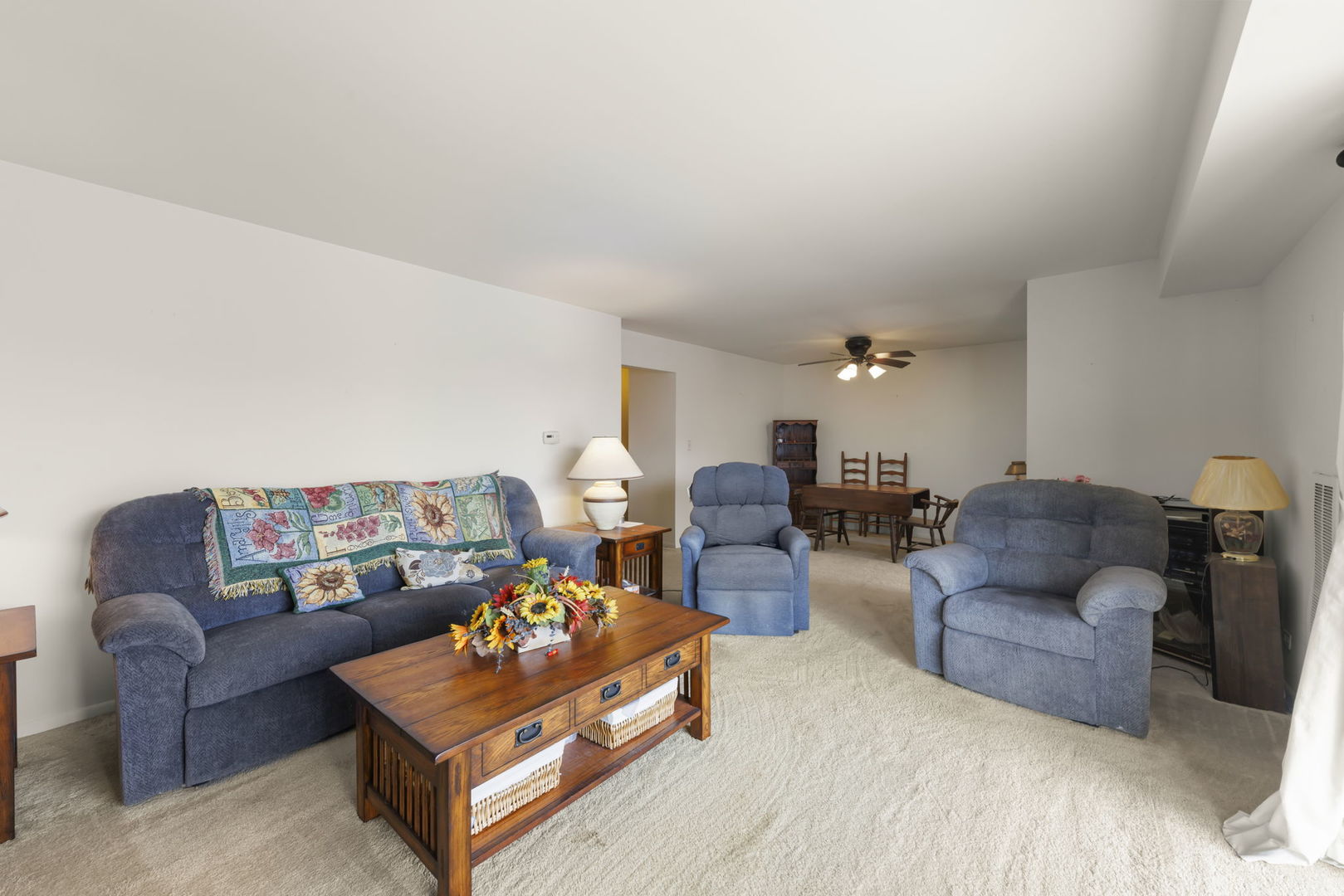 245 S Park Lane #321, Palatine, IL 60074