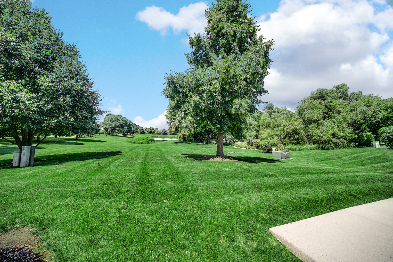 923 March Street, Lake Zurich, IL 60047