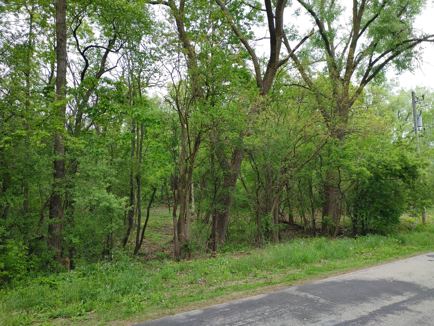 Lot4 Wisconsin Parkway, Delavan, WI 53115