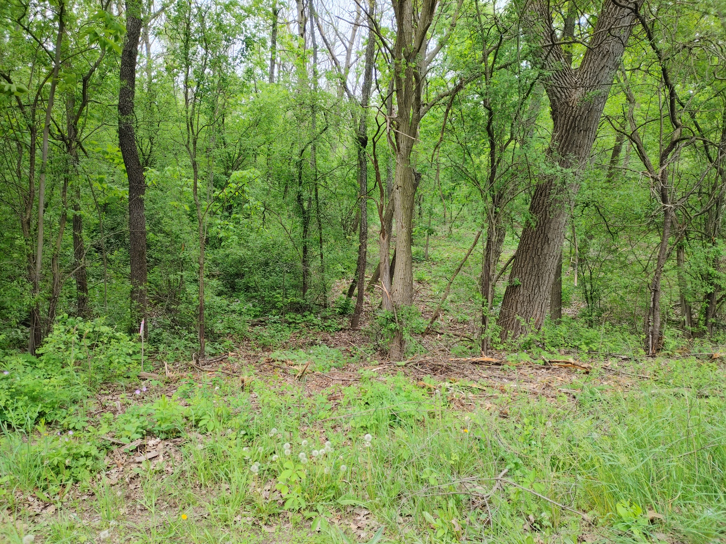 Lot4 Wisconsin Parkway, Delavan, WI 53115