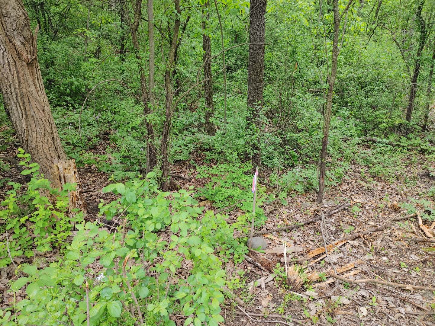 Lot4 Wisconsin Parkway, Delavan, WI 53115