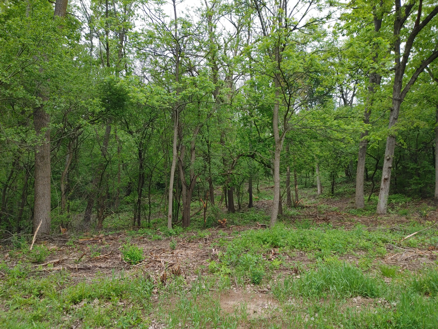 Lot4 Wisconsin Parkway, Delavan, WI 53115