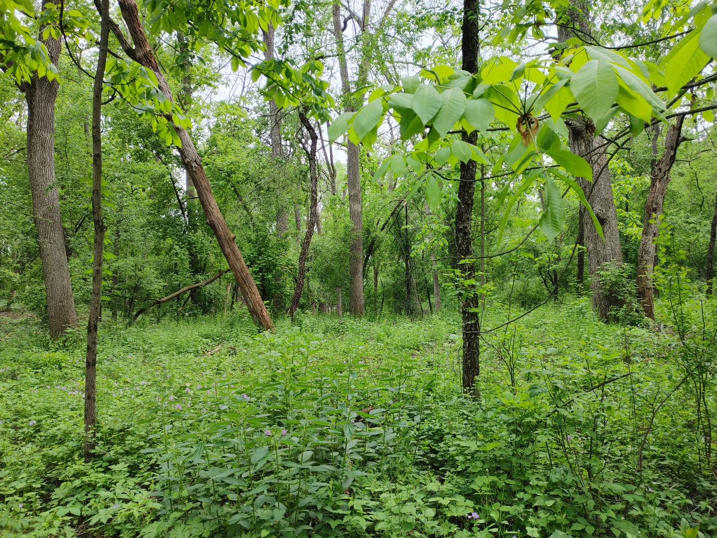 Lot4 Wisconsin Parkway, Delavan, WI 53115