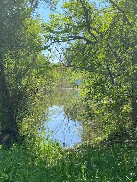 1023 Hooks Lane, Fox Lake, IL 60050