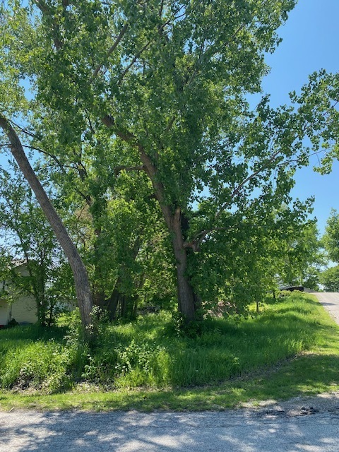 1023 Hooks Lane, Fox Lake, IL 60050