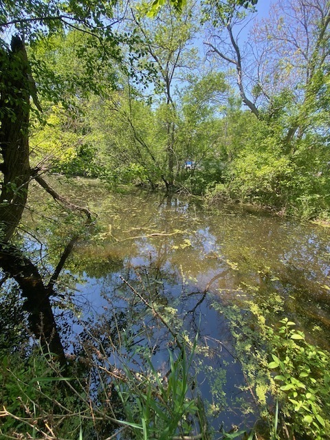 1023 Hooks Lane, Fox Lake, IL 60050