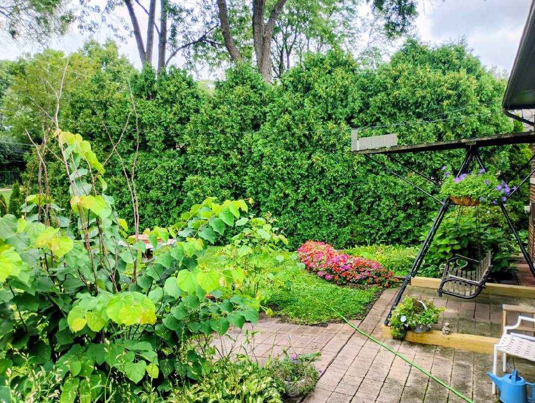 308 Sheldon Avenue, Downers Grove, IL 60515