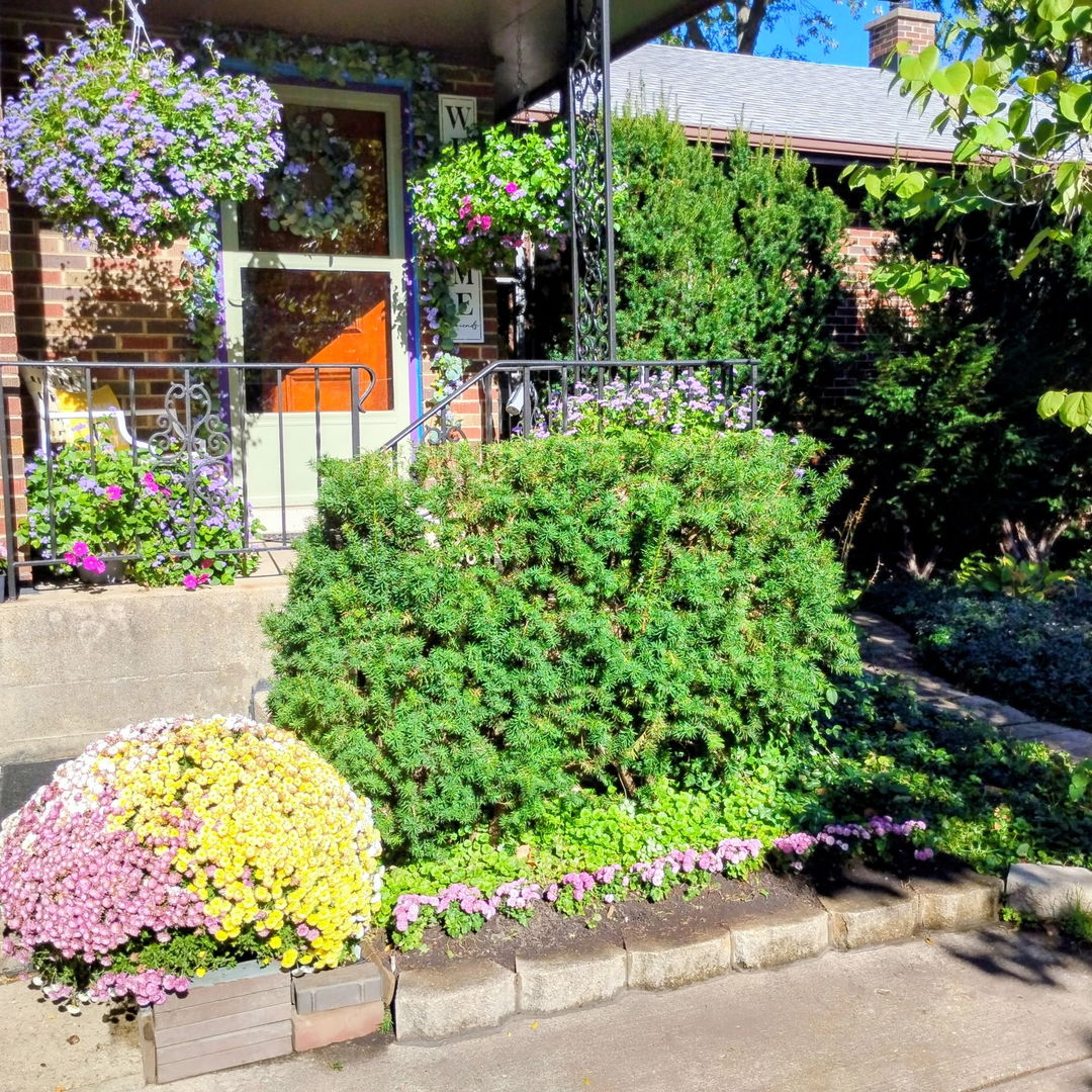 308 Sheldon Avenue, Downers Grove, IL 60515