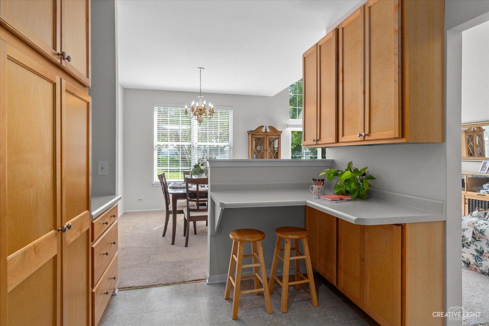 415 Canterbury Court, Oswego, IL 60543