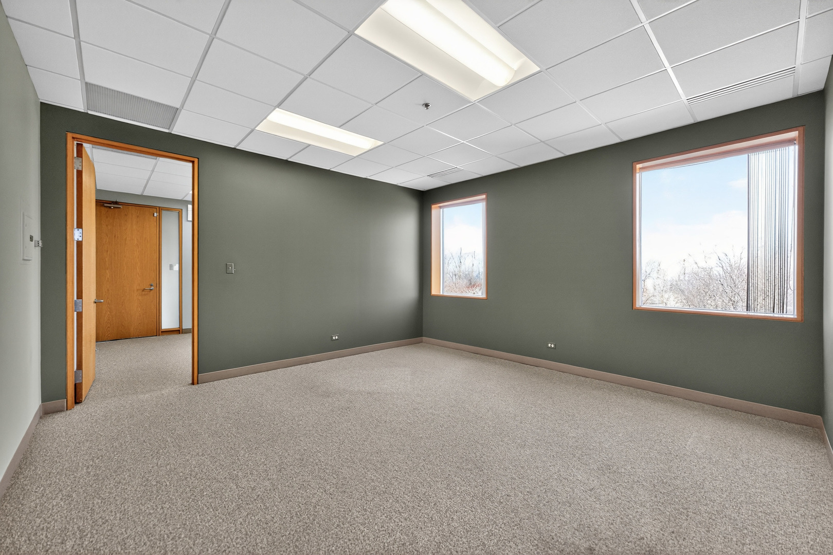 290 Springfield Drive, Bloomingdale, IL 60108