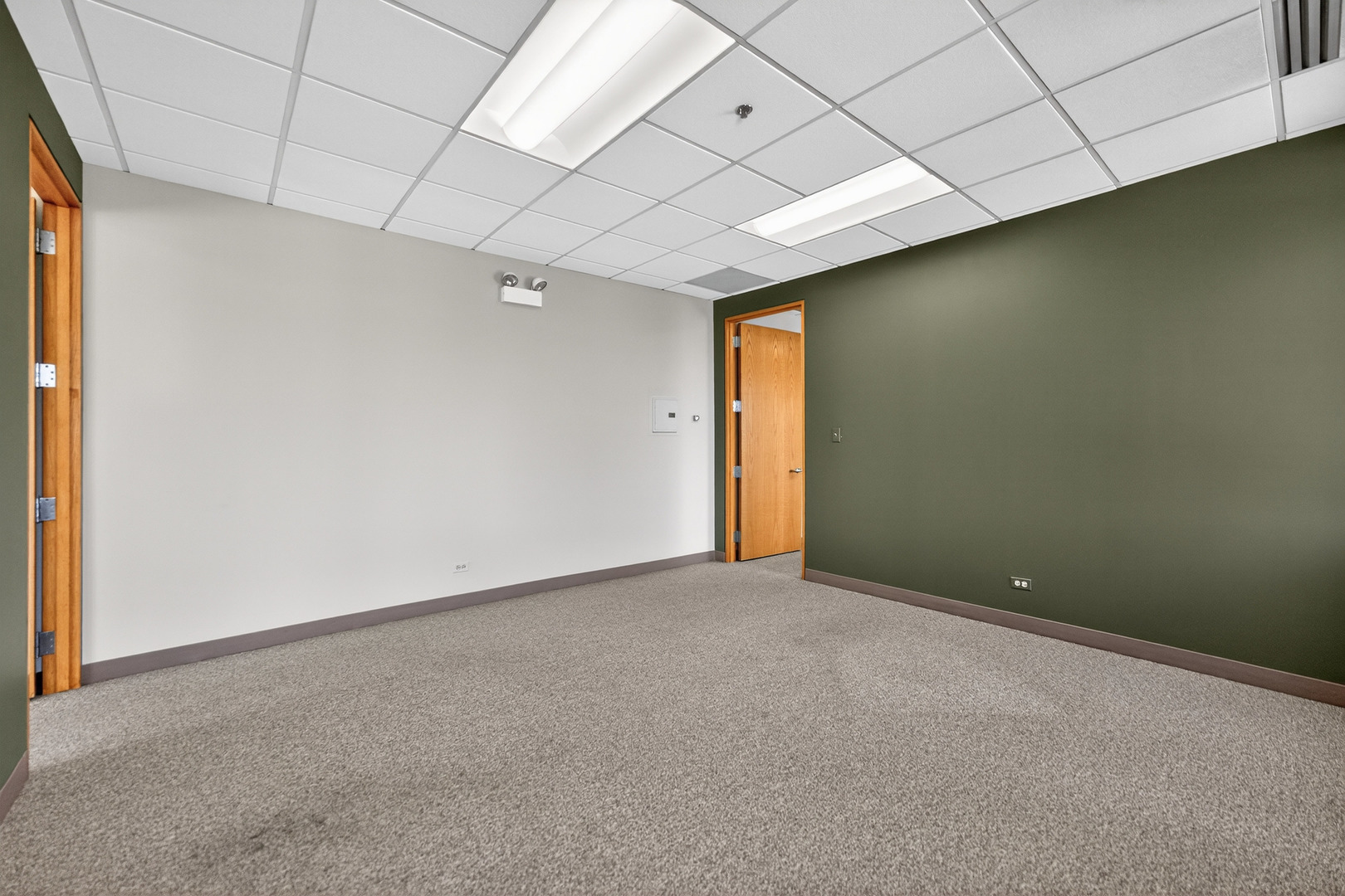 290 Springfield Drive, Bloomingdale, IL 60108