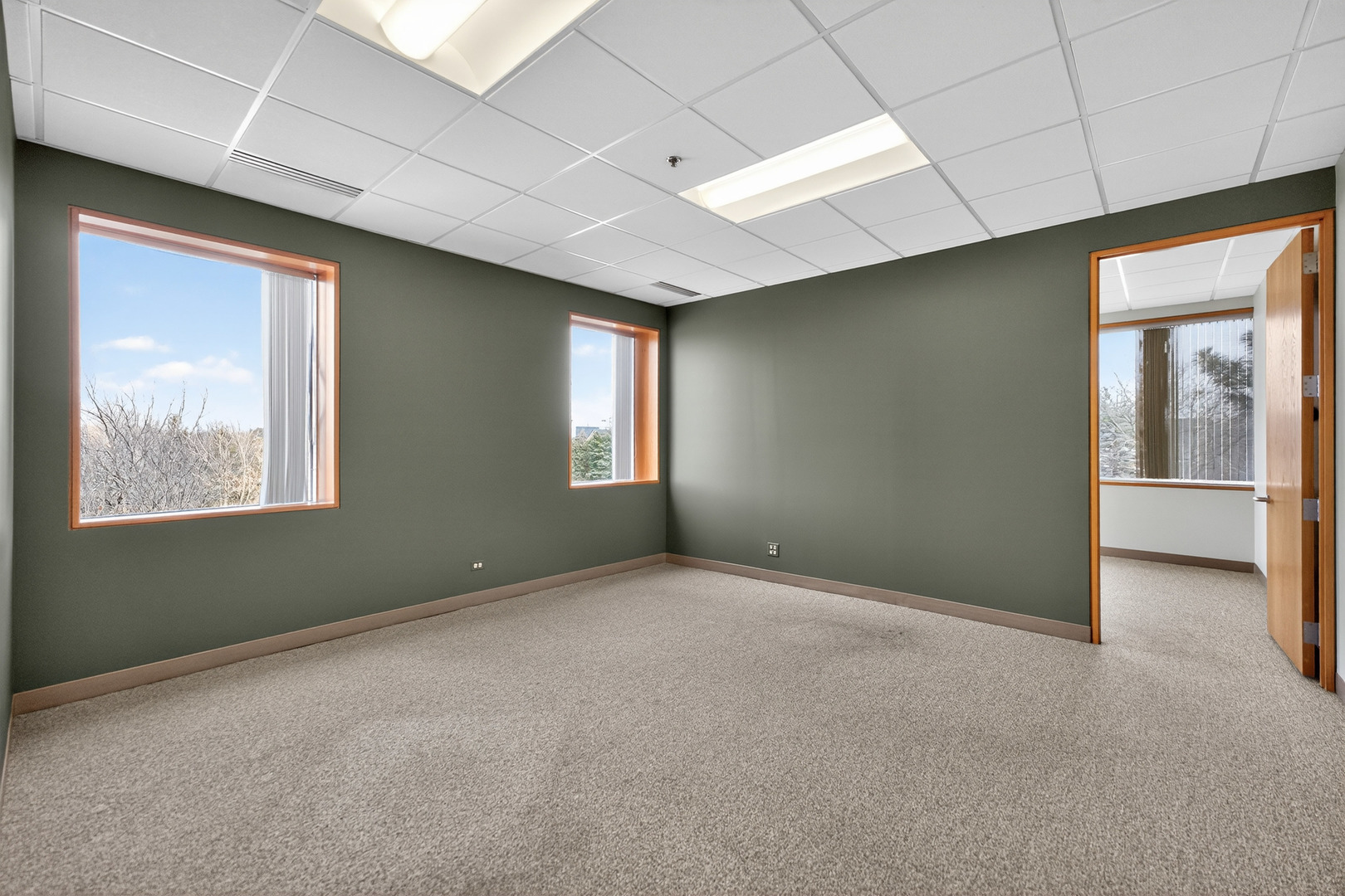 290 Springfield Drive, Bloomingdale, IL 60108