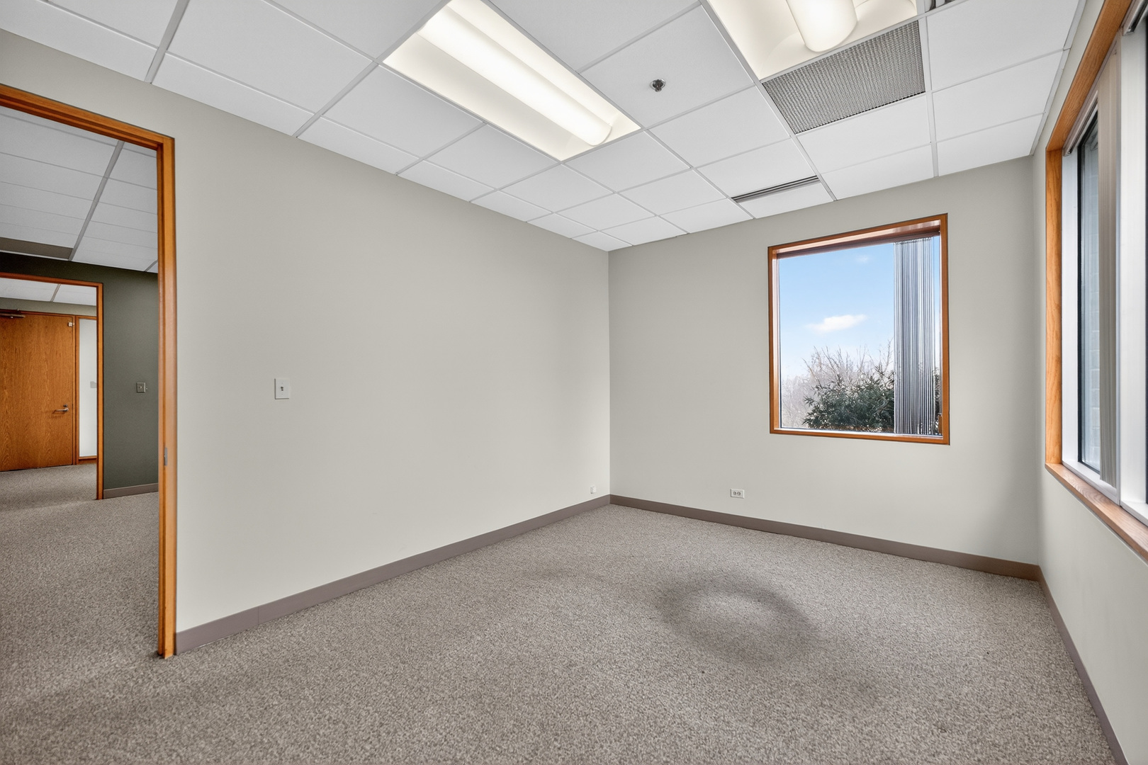 290 Springfield Drive, Bloomingdale, IL 60108