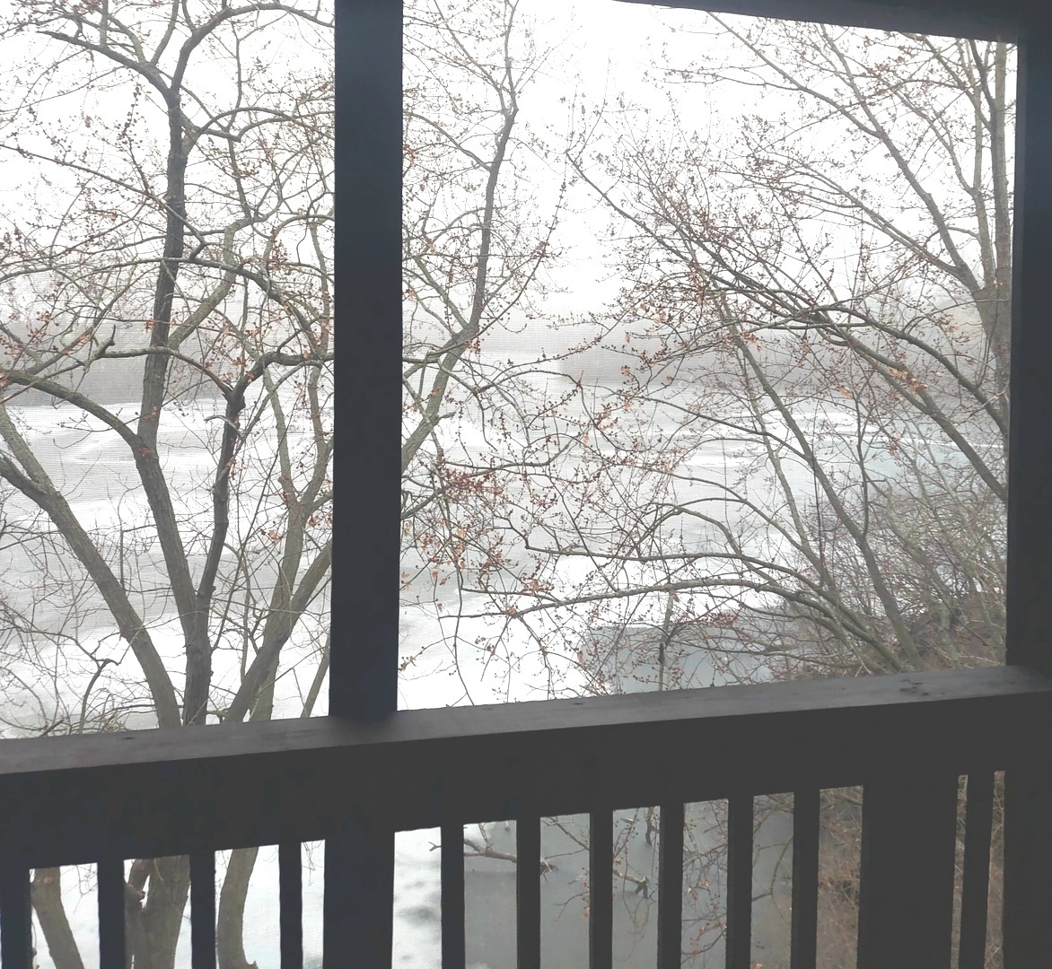 5529 E Lake Drive #F, Lisle, IL 60532