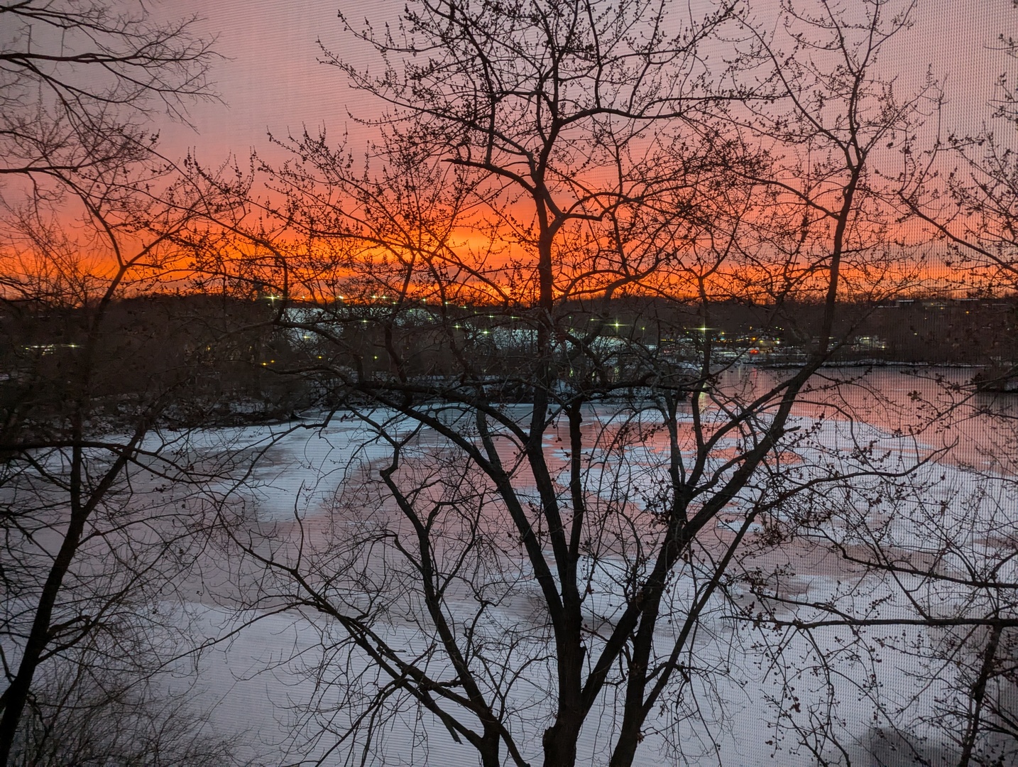 5529 E Lake Drive #F, Lisle, IL 60532