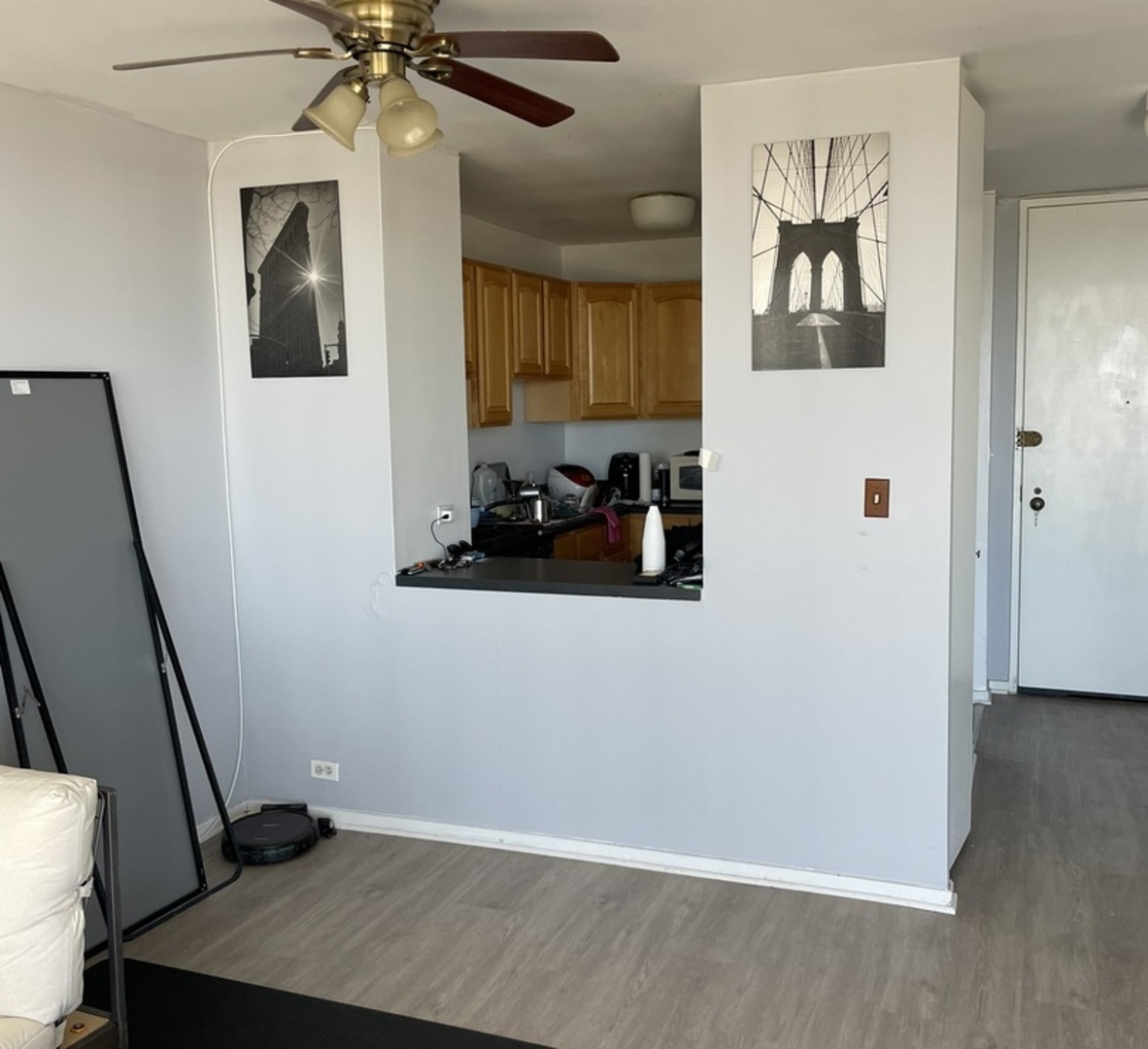 2605 S Indiana Avenue #1906, Chicago, IL 60616