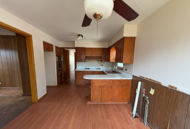 11101 S Ewing Avenue, Chicago, IL 60617