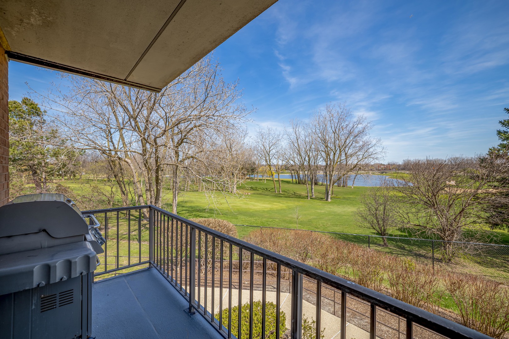 263 S Clubhouse Drive #224, Palatine, IL 60074