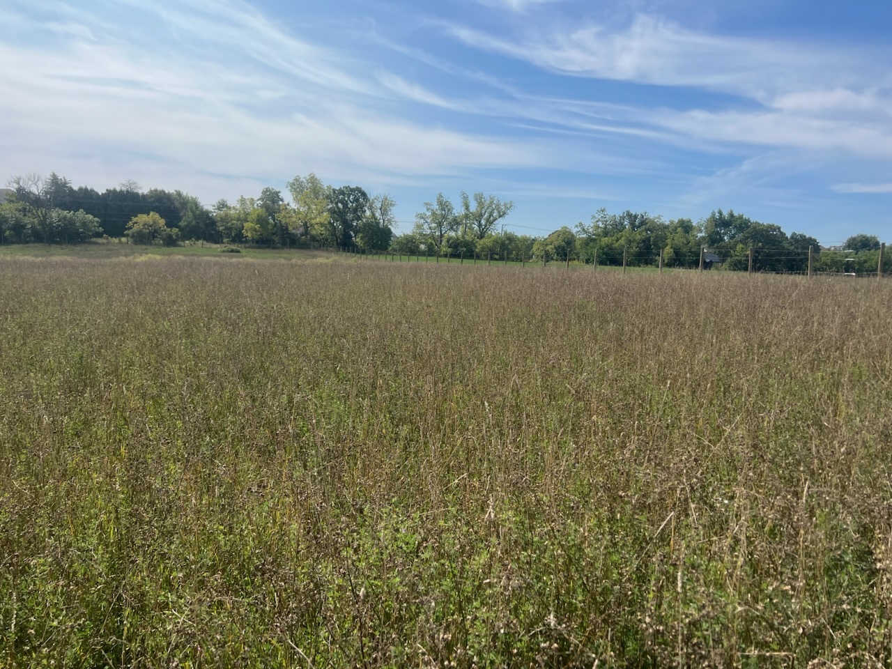 39930 N Savage Road, Antioch, IL 60002