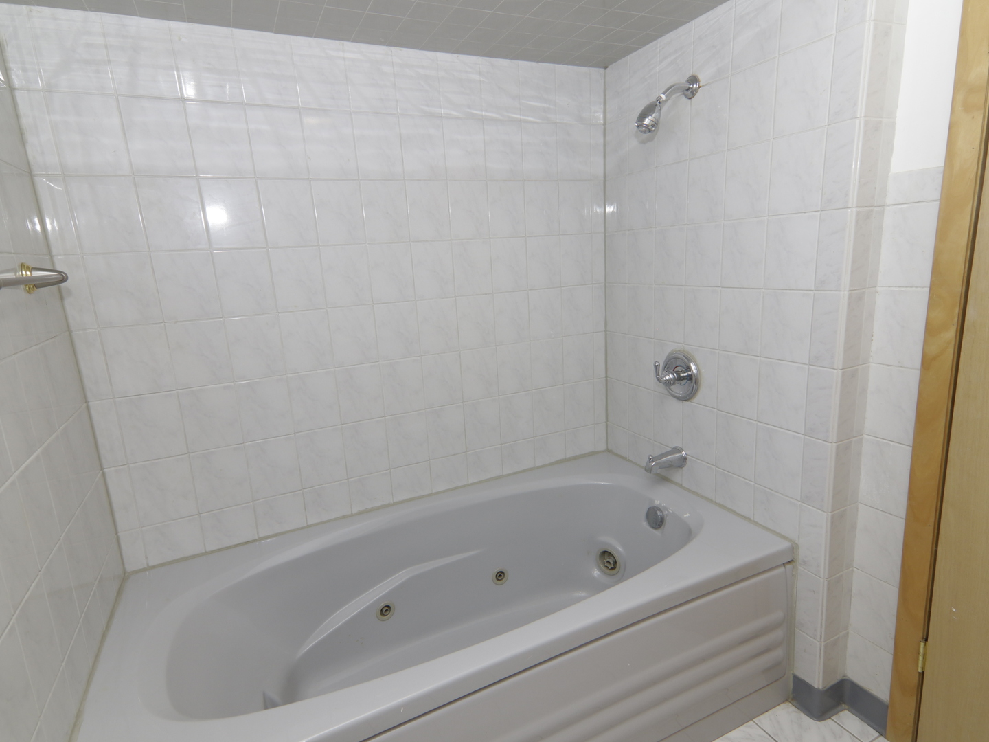 7251 S Ridgeland Avenue #E, Chicago, IL 60649