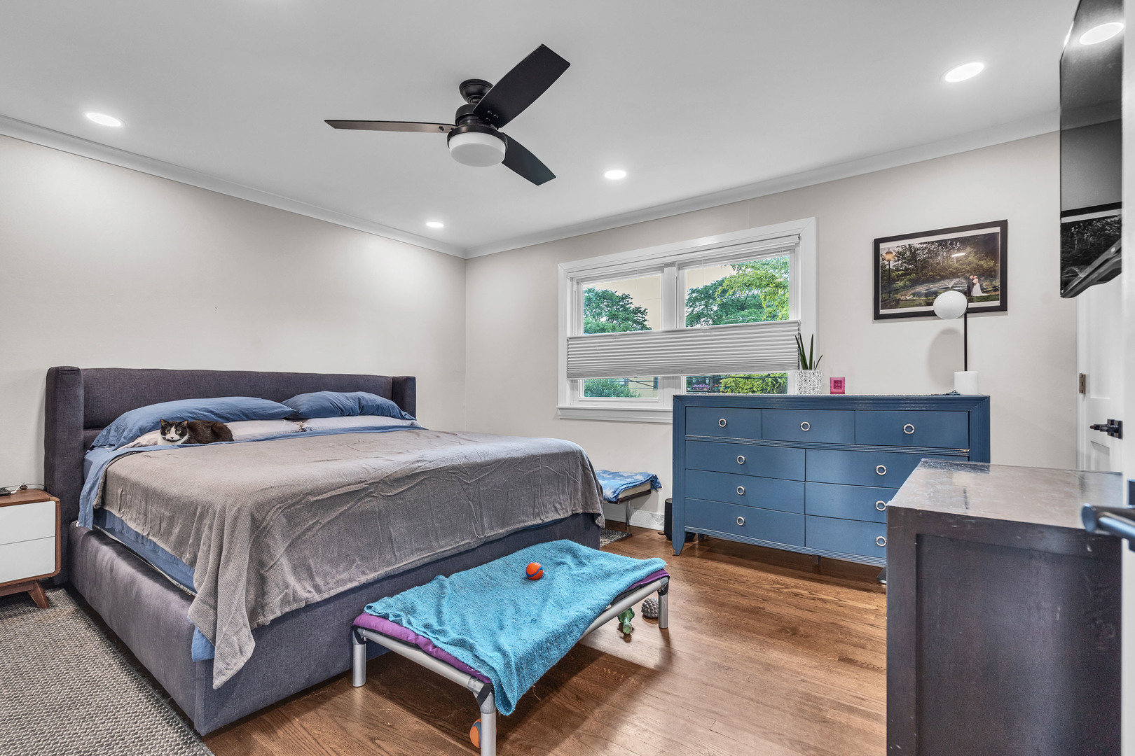 1806 N Park Drive, Mount Prospect, IL 60056