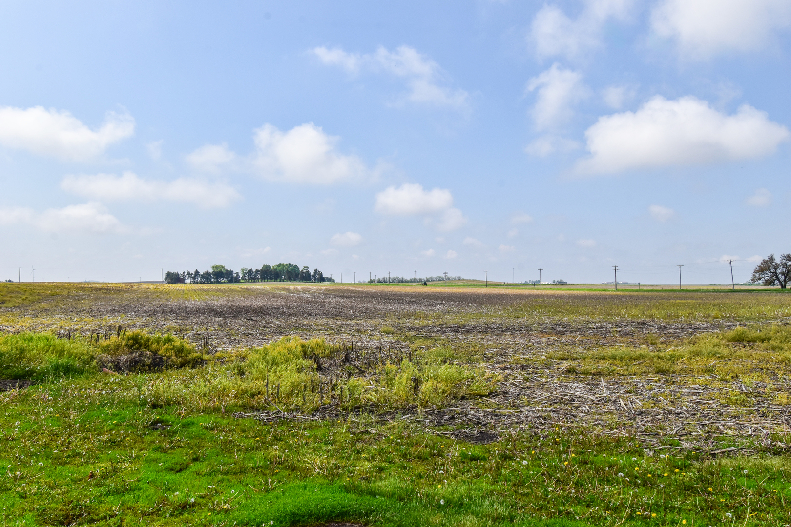 8 Fraher Drive, Odell, IL 60460