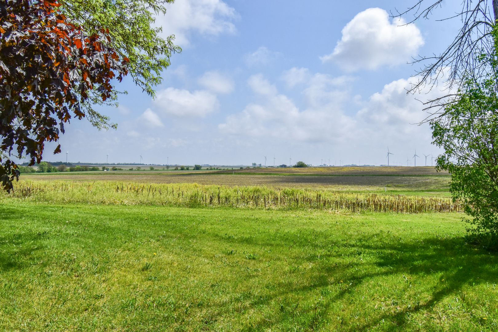 8 Fraher Drive, Odell, IL 60460