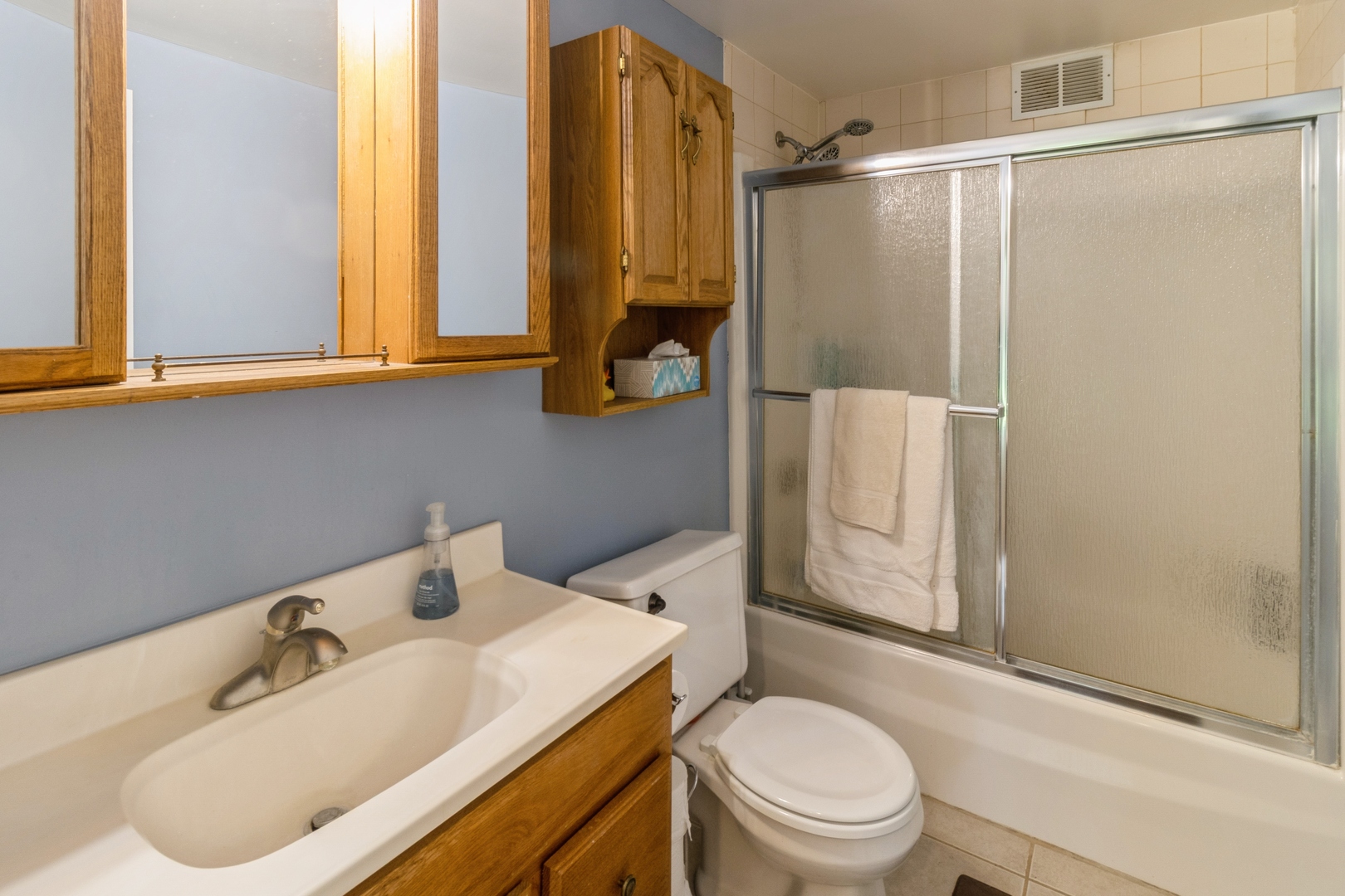 295 S Walnut Street, South Elgin, IL 60177