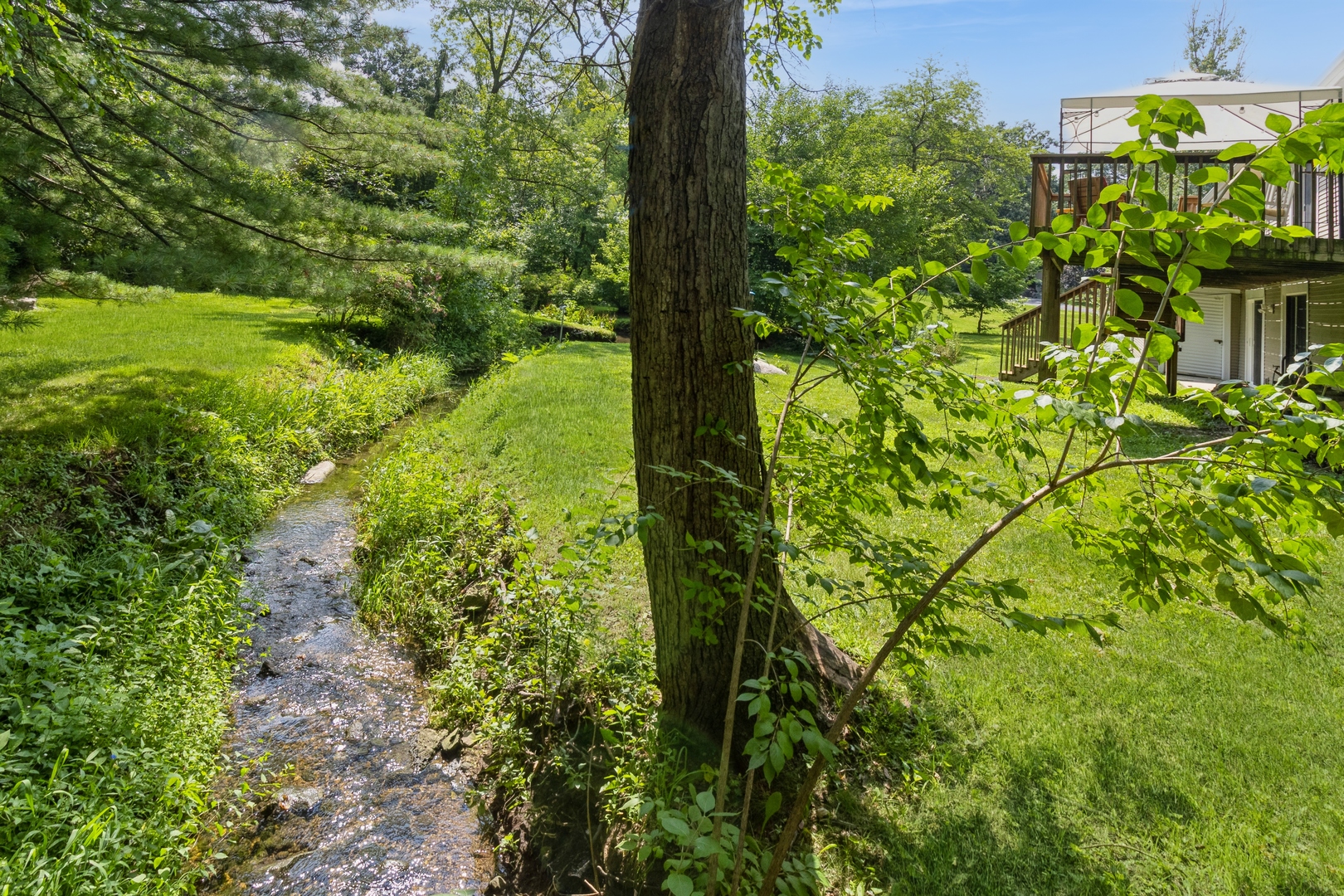 295 S Walnut Street, South Elgin, IL 60177