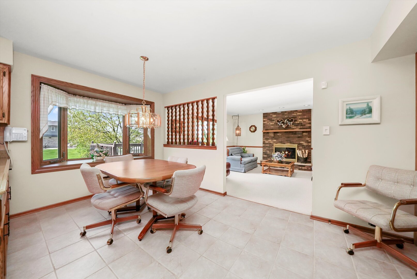 13924 S Golden Oak Drive, Homer Glen, IL 60491