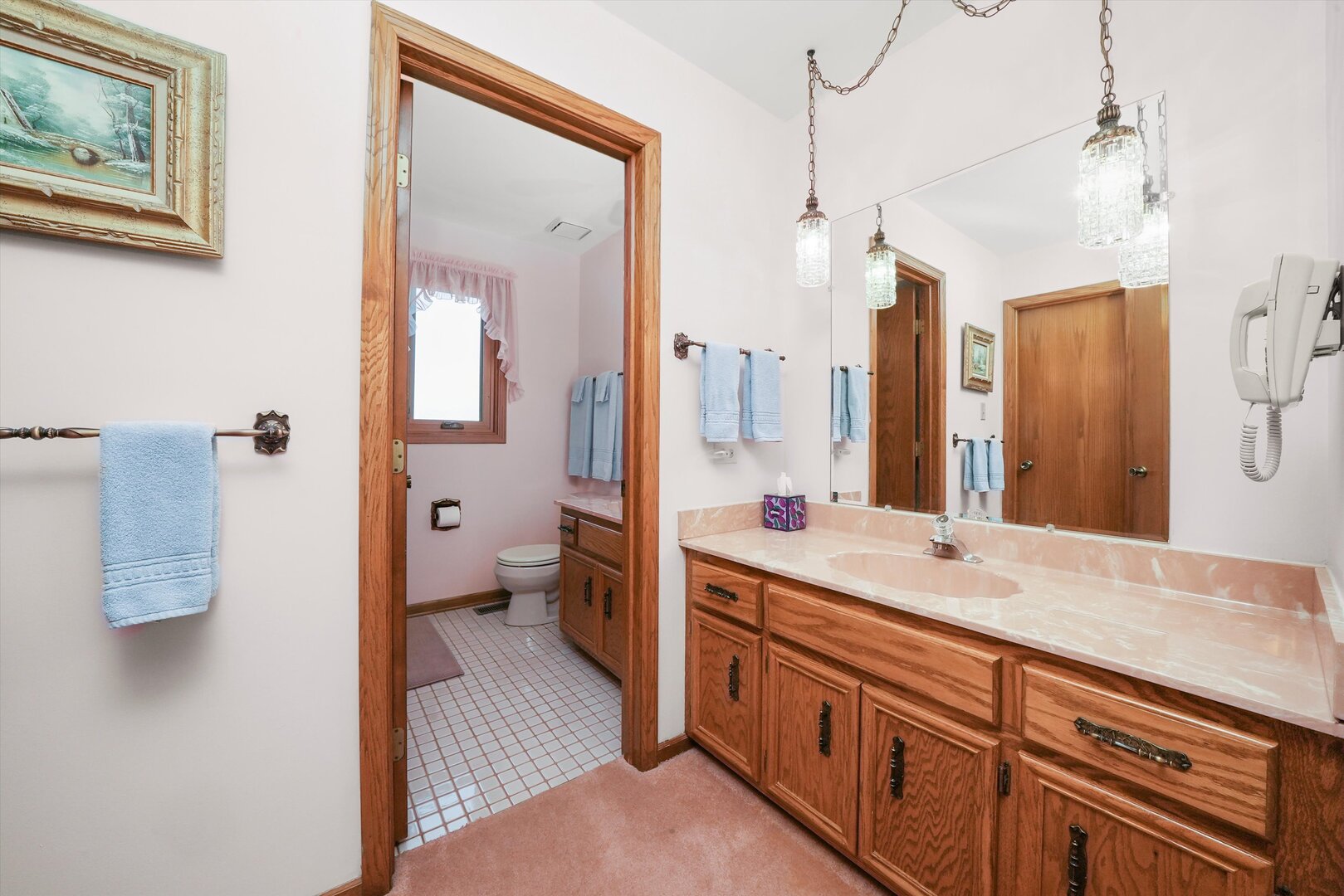 13924 S Golden Oak Drive, Homer Glen, IL 60491