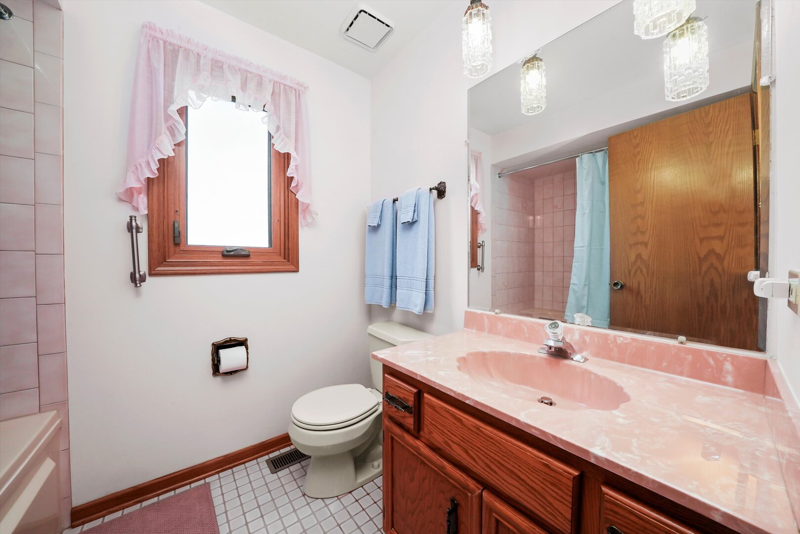 13924 S Golden Oak Drive, Homer Glen, IL 60491