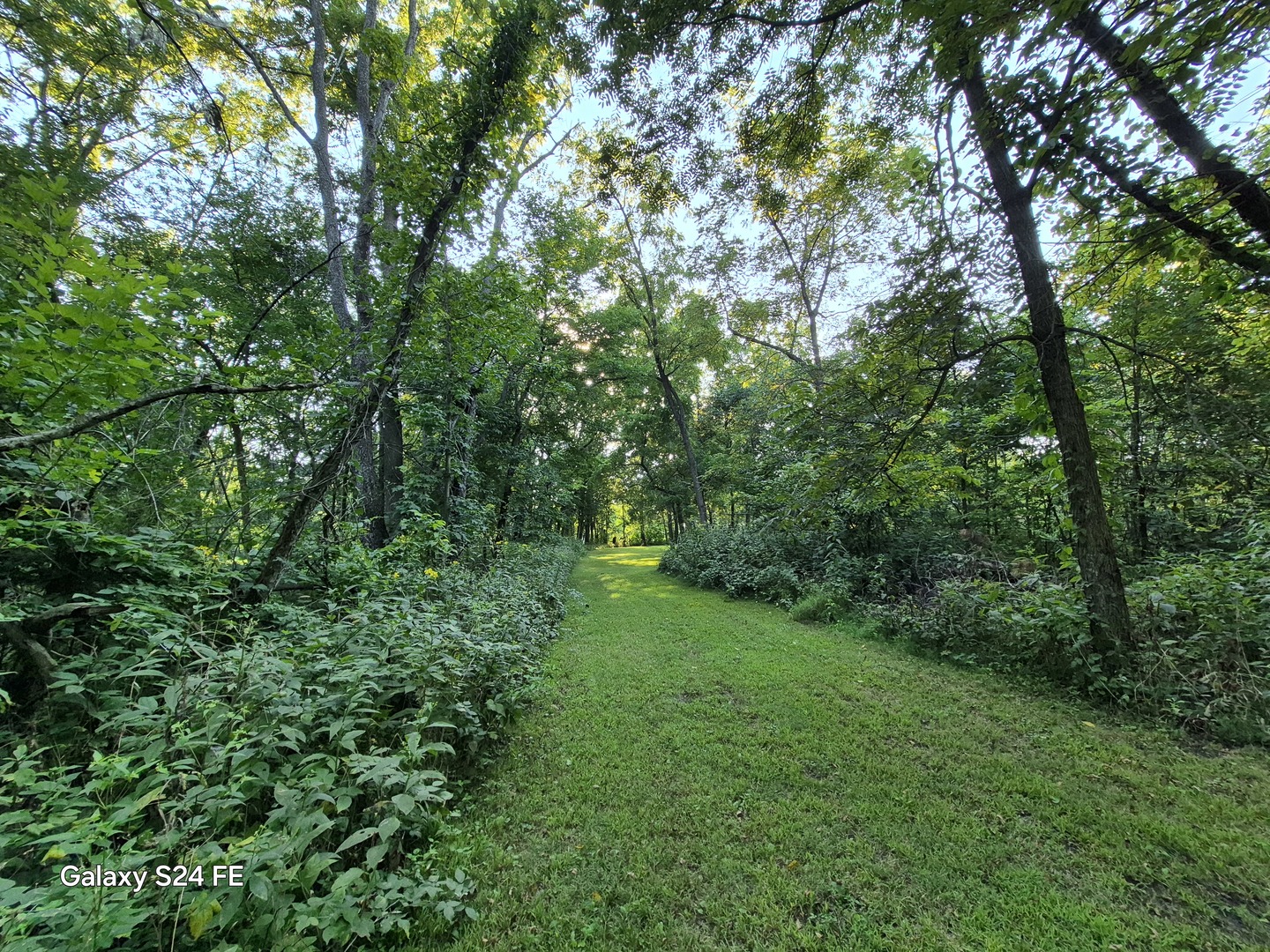 8816 Scott School Road, Morris, IL 60450