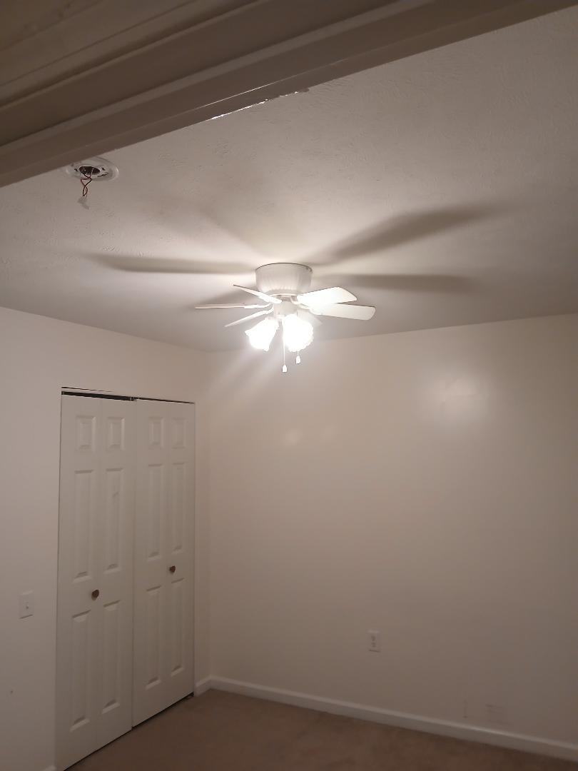 1405 E Edwards Street, Springfield, IL 62703