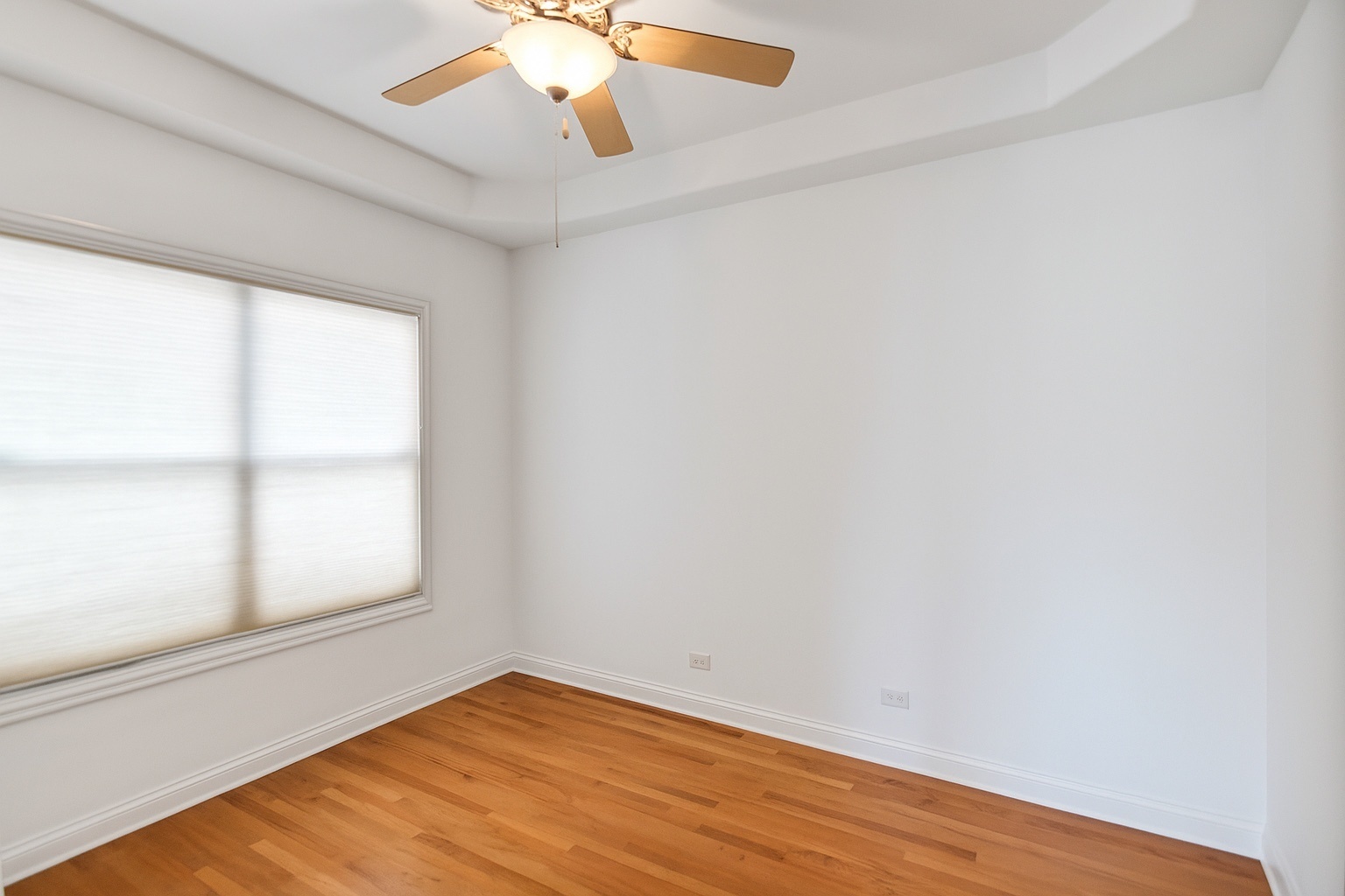 427 W Natoma Avenue, Addison, IL 60101