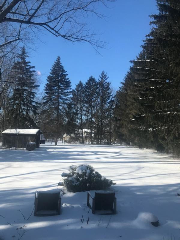 0S638 Euclid Avenue, Villa Park, IL 60181