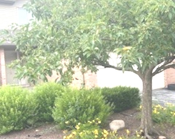 24554 S Independence Boulevard, Crete, IL 60417